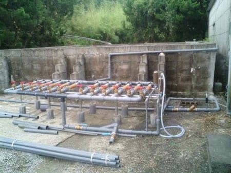 Solution For Pig farm Odor - Image 13