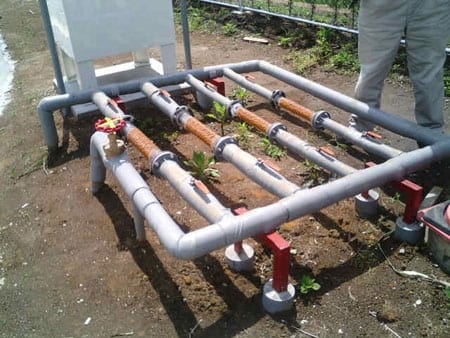 Solution For Pig farm Odor - Image 16