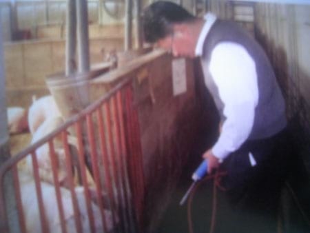 Solution For Pig farm Odor - Image 25