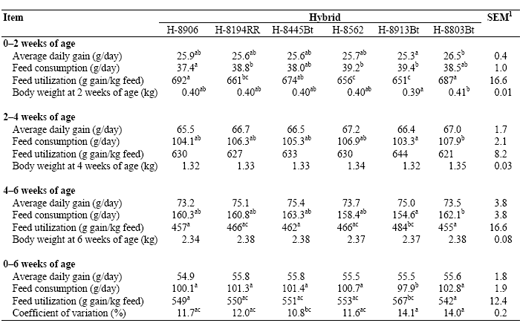 Corn Hybrid Kernel Trait Variation Affects Broiler Chicken Growth Performance - Image 3