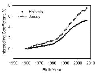 Improving Dairy Cow Fertility through Genetics - Image 2