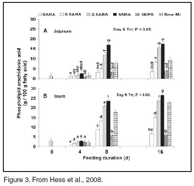 Dietary Modulation of Intestinal Health - Image 3