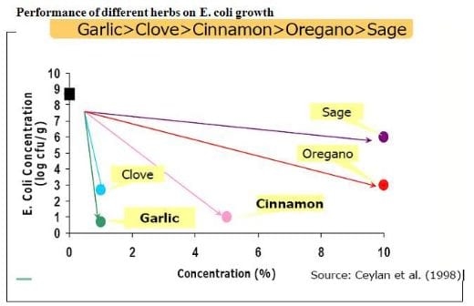 Herbs versus Drugs: Aspect World Poultry - Image 2