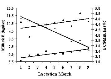 Variation in milk composition and its relationship with physiological states and management in crossbred cattle under tropical conditions - Image 7