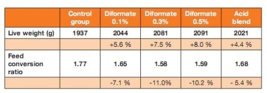 Performance enhancement through the use of diformates in broiler - Image 1
