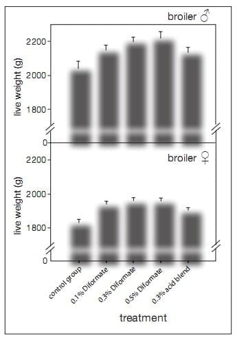 Performance enhancement through the use of diformates in broiler - Image 2