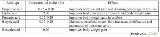 Alternatives to In-feed Anbiotics: do we really have some alternatives? - Image 1