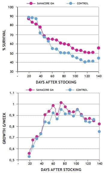 Phytobiotics as natural growth promoter - Image 7