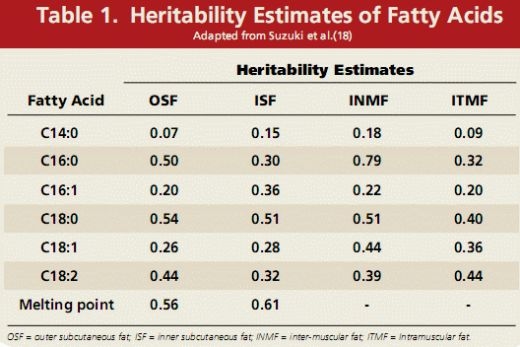 Pork Fat Quality - Image 1