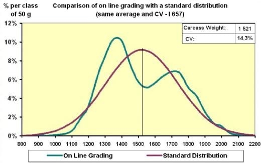 Evaluating Uniformity in Broilers - Factors Affecting Variation - Image 5