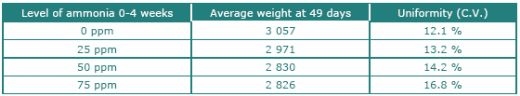 Evaluating Uniformity in Broilers - Factors Affecting Variation - Image 7
