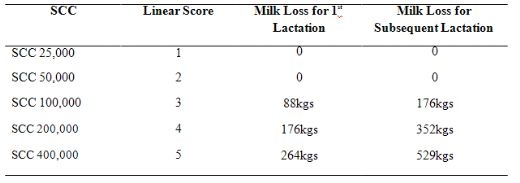 Overcoming Mastitis - Image 1