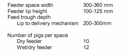 Understanding Feeders and Drinkers for Grow-Finish Pigs - Image 1