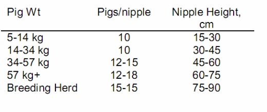 Understanding Feeders and Drinkers for Grow-Finish Pigs - Image 3