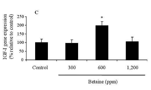 Effects of Dietary Betaine on the Secretion of Insulin-like Growth Factor-I and Insulin-like Growth Factor Binding Protein-1 and -3 in Laying Hens - Image 5