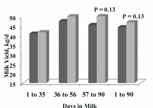 Chromium Supplementation in Cattle Diets - Image 6