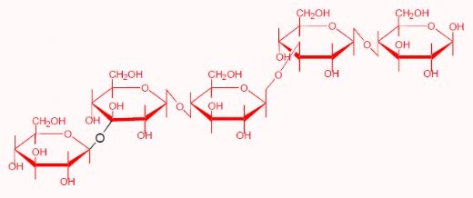 Feed Polysaccharides: Nutritional Roles and Effect of Enzymes - Image 6
