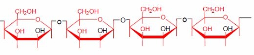 Feed Polysaccharides: Nutritional Roles and Effect of Enzymes - Image 8