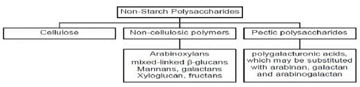 Feed Polysaccharides: Nutritional Roles and Effect of Enzymes - Image 1