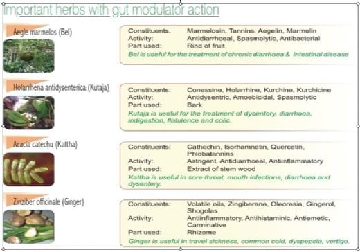 Management of Diarrhoea in Dairy animals - Image 1