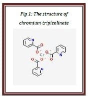 Supranutritional solution to combat stress condition in poultry - Image 4