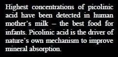 Supranutritional solution to combat stress condition in poultry - Image 3