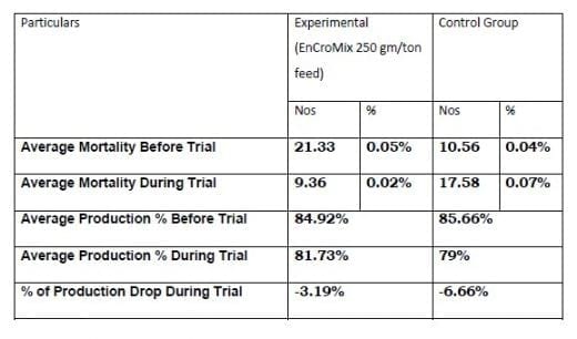 Supranutritional solution to combat stress condition in poultry - Image 13