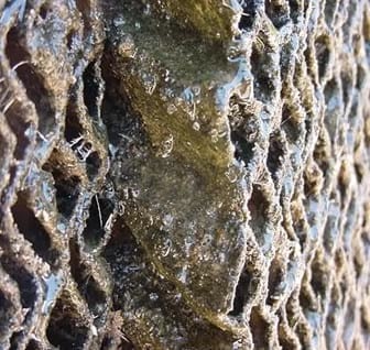 The 8 most often asked Questions on Ventilation in the Field - Image 21