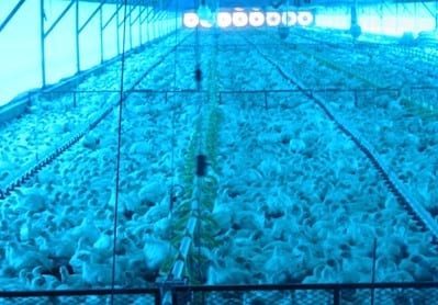The 8 most often asked Questions on Ventilation in the Field - Image 11