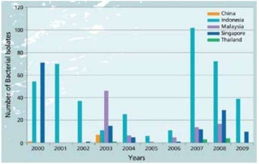 Important Diseases of Farmed Barramundi in Asia - Image 1