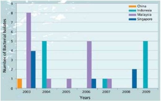 Important Diseases of Farmed Barramundi in Asia - Image 12