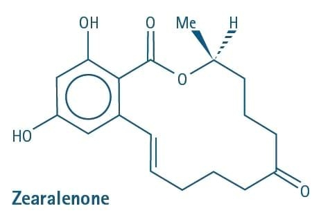 Zearalenone Toxicity, a Significant Factor in Reduced Swine - Image 2