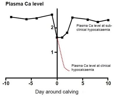 Many years of research has produced results - Image 2