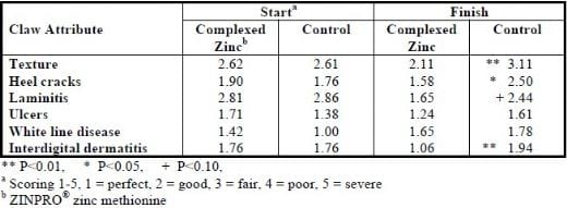 The Role of Trace Minerals in Foot Health - Image 1