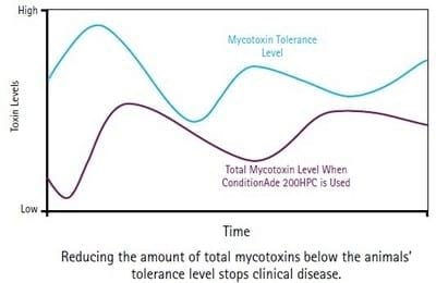 Understanding Mycotoxins - Image 5