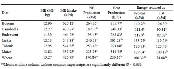 Improving the nutritive value of alternative feed ingredients for poultry - Image 2