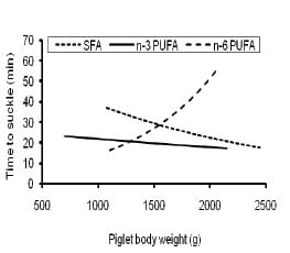 Dietary Fatty Acids Affect the Growth and Performance of Gilt Progeny - Image 5