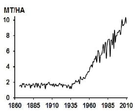Global feed supply and demand - Image 7