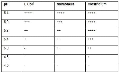 Practical Applications of Formaldehyde and Organic Acids in Control of Enteric Pathogens in Feed and Drinking Water - Image 4