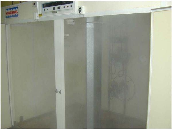 Intervention Strategies for Reducing Salmonella Prevalence on Ready-to-Cook Chicken - Image 2