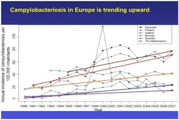 Intervention Strategies for Reducing Salmonella Prevalence on Ready-to-Cook Chicken - Image 30