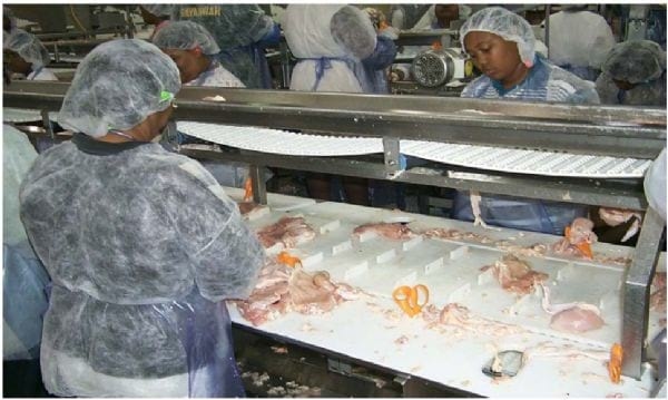 Intervention Strategies for Reducing Salmonella Prevalence on Ready-to-Cook Chicken - Image 7