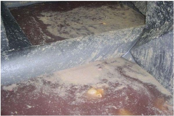 Intervention Strategies for Reducing Salmonella Prevalence on Ready-to-Cook Chicken - Image 25