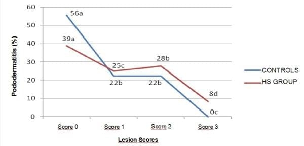 Incidence of contact pododermatitis in broilers subjected to heat stress - Image 1