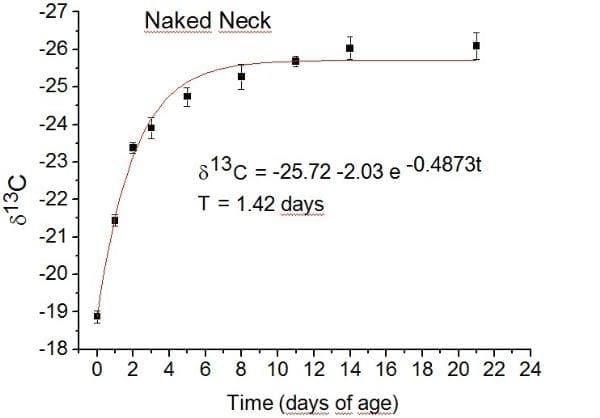 Turnover of 13c in the plasma of colonial-type broilers^ - Image 2
