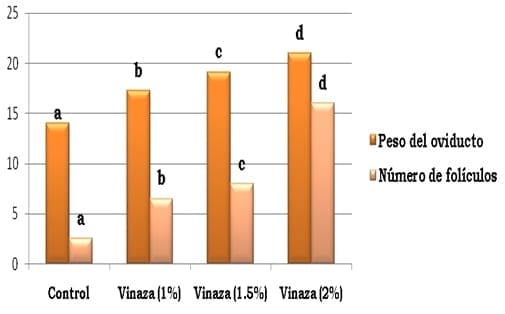 Distillery vinasse as an alternative additive in poultry feed - Image 1