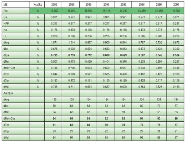 Balanced Nutrition for Different Phases of Chicken - Image 23