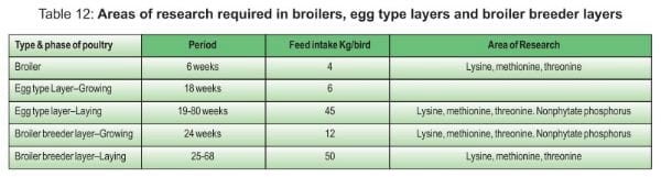 Balanced Nutrition for Different Phases of Chicken - Image 26