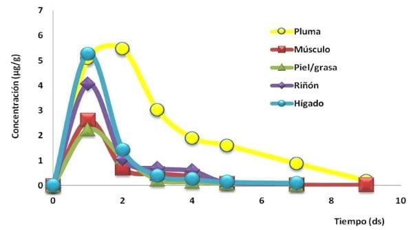 Depletion of enrofloxacin and its metabolite ciprofloxacin in edible tissues and feathers of broilers - Image 1