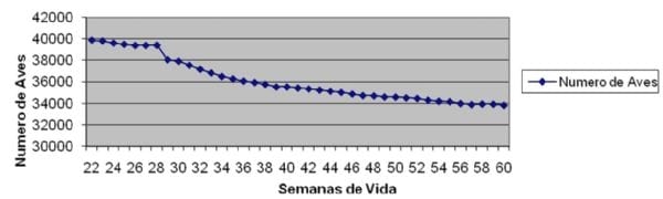 New Marek's disease cases in Argentina – preliminary studies - Image 1